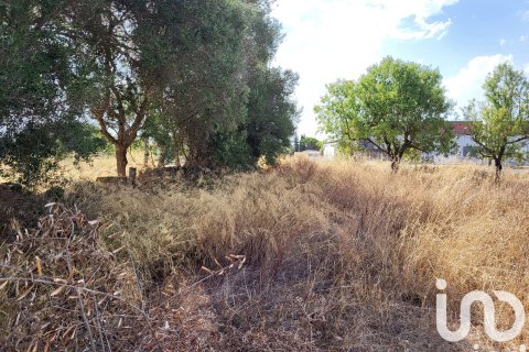 Terreno in vendita a Santa Maria Del Cami, Mallorca, Spagna 19777 mq. N° 153254 - foto 28