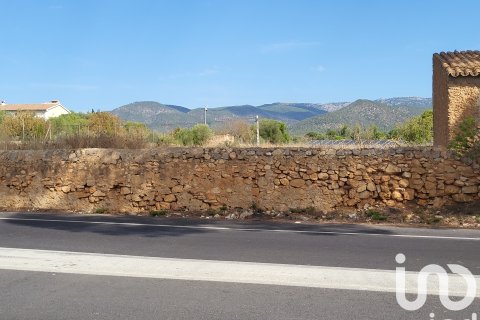 Terreno in vendita a Santa Maria Del Cami, Mallorca, Spagna 19777 mq. N° 153254 - foto 13