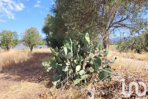 Terreno in vendita a Santa Maria Del Cami, Mallorca, Spagna 19777 mq. N° 153254 - foto 27