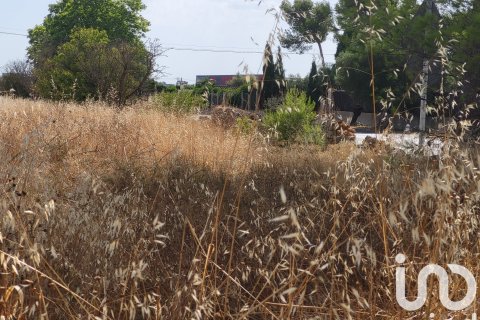 Terreno in vendita a Santa Maria Del Cami, Mallorca, Spagna 19777 mq. N° 153254 - foto 15