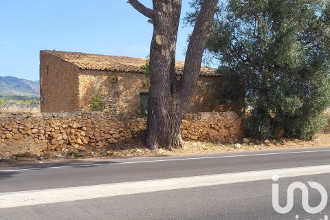 Terreno in vendita a Santa Maria Del Cami, Mallorca, Spagna 19777 mq. N° 153254 - foto 30
