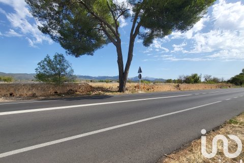 Terreno in vendita a Santa Maria Del Cami, Mallorca, Spagna 19777 mq. N° 153254 - foto 9