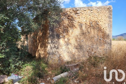 Terreno in vendita a Santa Maria Del Cami, Mallorca, Spagna 19777 mq. N° 153254 - foto 16