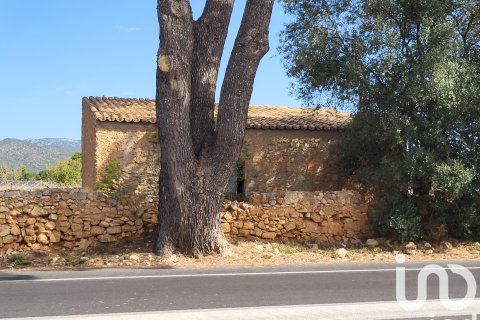 Terreno in vendita a Santa Maria Del Cami, Mallorca, Spagna 19777 mq. N° 153254 - foto 14