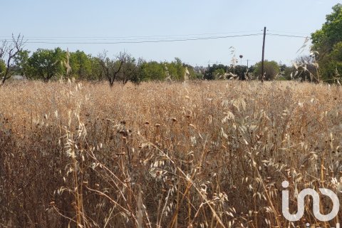 Terreno in vendita a Santa Maria Del Cami, Mallorca, Spagna 19777 mq. N° 153254 - foto 25
