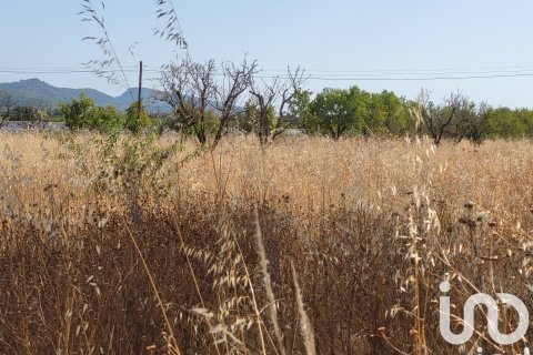 Terreno in vendita a Santa Maria Del Cami, Mallorca, Spagna 19777 mq. N° 153254 - foto 22