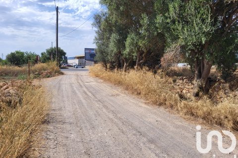 Terreno in vendita a Santa Maria Del Cami, Mallorca, Spagna 19777 mq. N° 153254 - foto 20