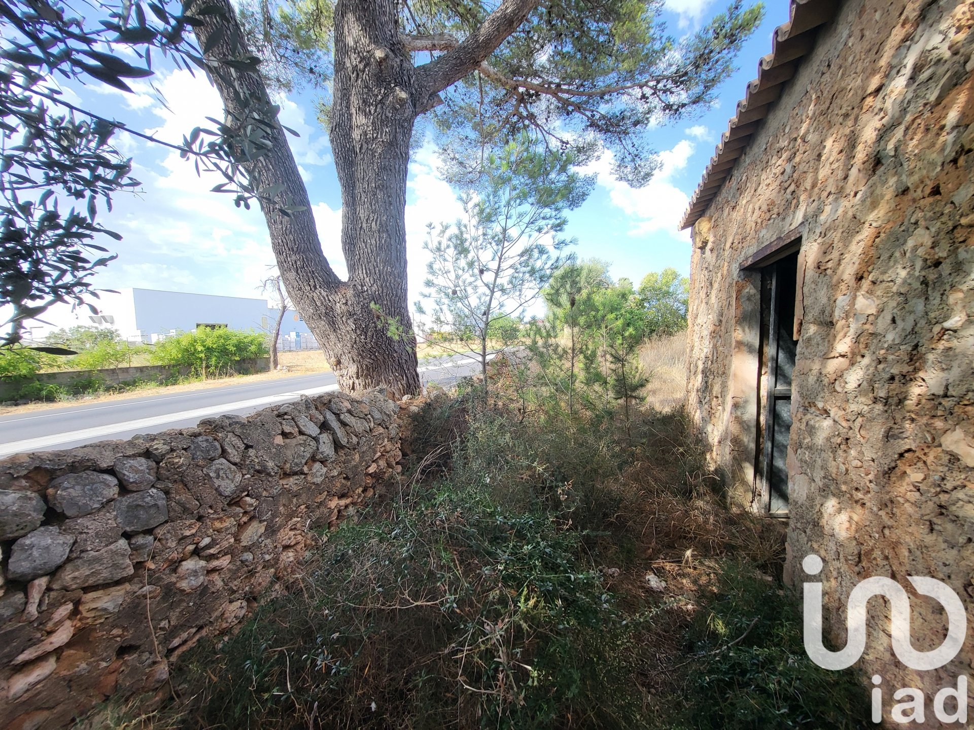 Działka w Santa Maria Del Cami, Mallorca, Hiszpania 19777 mkw. nr 153254