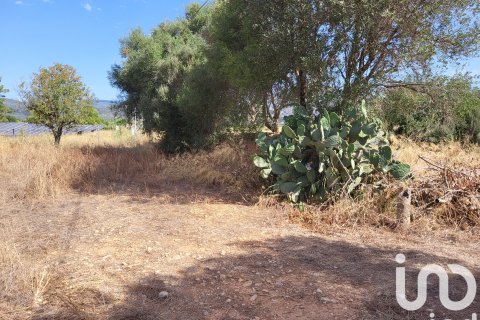Terreno in vendita a Santa Maria Del Cami, Mallorca, Spagna 19777 mq. N° 153254 - foto 29