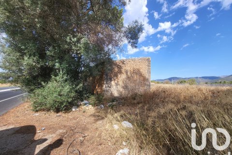 Terreno in vendita a Santa Maria Del Cami, Mallorca, Spagna 19777 mq. N° 153254 - foto 26