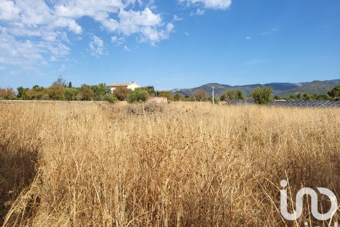 Terreno in vendita a Santa Maria Del Cami, Mallorca, Spagna 19777 mq. N° 153254 - foto 2