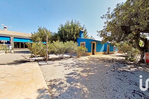 Dom w Elche, Alicante, Hiszpania 4 sypialnie, 313 mkw. nr 153257 – zdjęcie 15