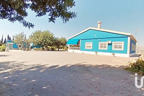 Dom w Elche, Alicante, Hiszpania 4 sypialnie, 313 mkw. nr 153257 – zdjęcie 12