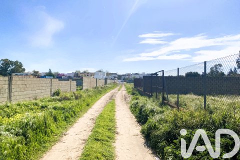 Продажа земельного участка в Чиклана-де-ла-Фронтера, Кадис, Испания 526м2 №185051 - фото 2
