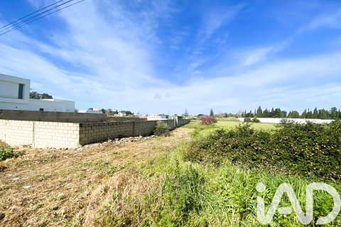 Продажа земельного участка в Чиклана-де-ла-Фронтера, Кадис, Испания 526м2 №185051 - фото 10
