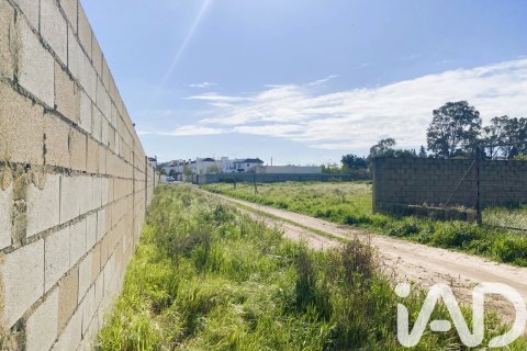Продажа земельного участка в Чиклана-де-ла-Фронтера, Кадис, Испания 526м2 №185051 - фото 7