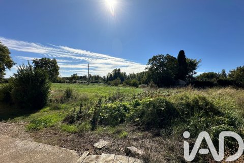 Продажа земельного участка в Эхеа де лос Кабальерос, Сарагоса, Испания 2356м2 №185054 - фото 5