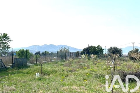 Lokal usługowy w Santa Oliva, Tarragona, Hiszpania nr 185049 – zdjęcie 18