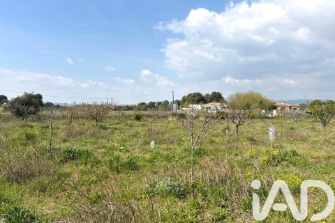 Lokal usługowy w Santa Oliva, Tarragona, Hiszpania nr 185049 – zdjęcie 8