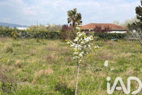 Gewerbeimmobilien in Santa Oliva, Tarragona, Spanien Nr. 185049
