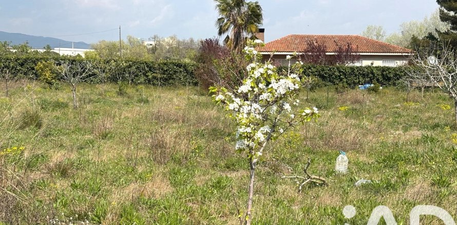 Lokal usługowy w Santa Oliva, Tarragona, Hiszpania nr 185049