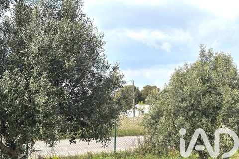 Lokal usługowy w Santa Oliva, Tarragona, Hiszpania nr 185049 – zdjęcie 19