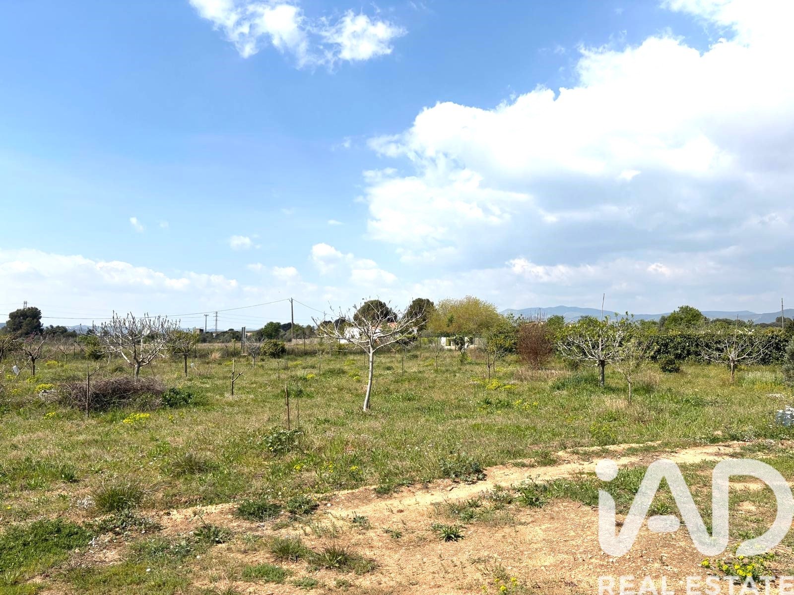 Propiedad comercial en Santa Oliva, Tarragona, España No. 185049