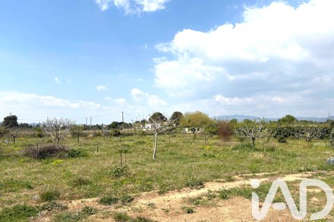 Lokal usługowy w Santa Oliva, Tarragona, Hiszpania nr 185049 – zdjęcie 11