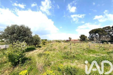 Lokal usługowy w Santa Oliva, Tarragona, Hiszpania nr 185049 – zdjęcie 2