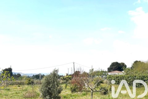 Lokal usługowy w Santa Oliva, Tarragona, Hiszpania nr 185049 – zdjęcie 17