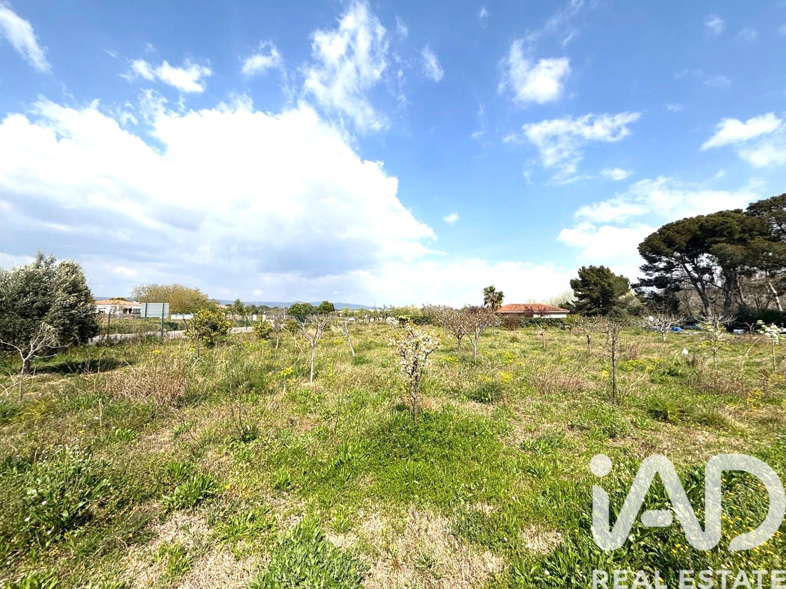 Propiedad comercial en Santa Oliva, Tarragona, España No. 185049