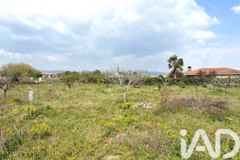 Lokal usługowy w Santa Oliva, Tarragona, Hiszpania nr 185049 – zdjęcie 10