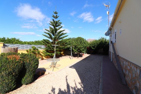 Finca à vendre Orihuela, Alicante, Espagne, 3 chambres, 138 m2 No. 138741 - photo 27