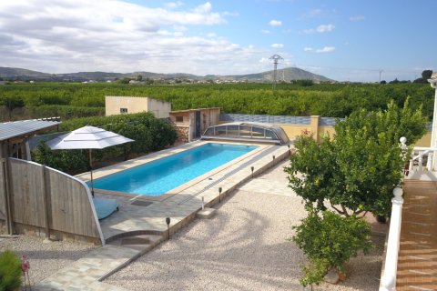 Finca à vendre Orihuela, Alicante, Espagne, 3 chambres, 138 m2 No. 138741 - photo 22