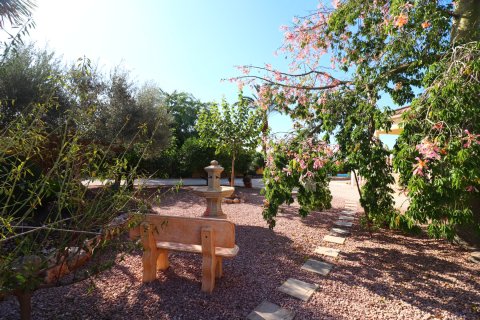 Finca à vendre Orihuela, Alicante, Espagne, 3 chambres, 138 m2 No. 138741 - photo 30
