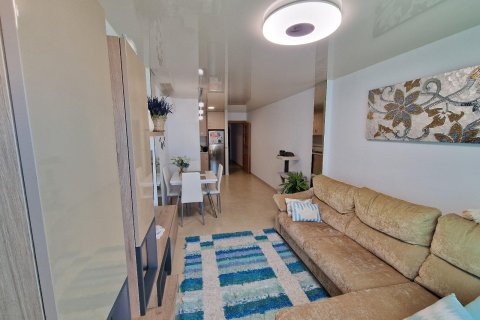 Appartamento in vendita a Torrevieja, Alicante, Spagna 1 camera da letto, 66 mq. N° 168769 - foto 10