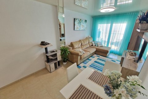 Appartamento in vendita a Torrevieja, Alicante, Spagna 1 camera da letto, 66 mq. N° 168769 - foto 8