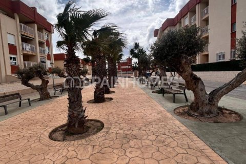 Huoneisto myytävänä Orihuela, Alicante, Espanja, 2 makuuhuonetta, 69 m2 No. 156229 - kuva 10