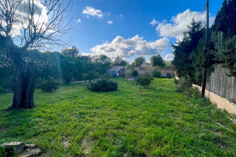 Продажа финки в Ллукмайор, Майорка, Испания 3 спальни, 194м2 №156227 - фото 23