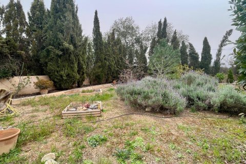 Продажа финки в Ллукмайор, Майорка, Испания 3 спальни, 194м2 №156227 - фото 17