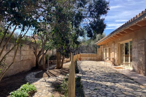Huoneisto vuokrattavana Sa Pobla, Mallorca, Espanja, 1 makuuhuone, 60 m2 No. 156226 - kuva 13