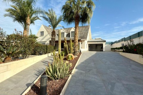 Villa à vendre à San Juan, Alicante, Espagne, 5 chambres, 360 m2 No. 133031 - photo 6