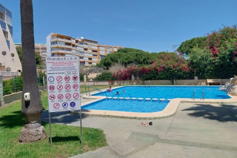 Wohnung zum Verkauf Torrevieja, Alicante, Spanien 1 Schlafzimmer, 65 m2 Nr. 115174 - Foto 2