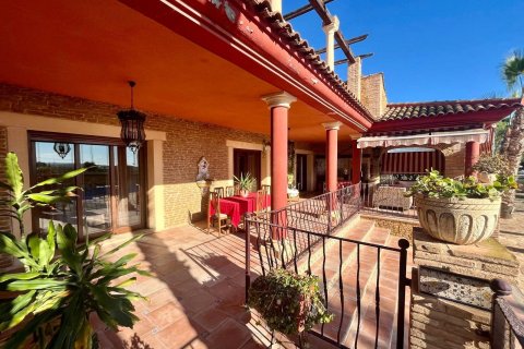 House for sale in Rojales, Alicante, Spain 4 bedrooms, 450 sq.m. No. 165461 - photo 16