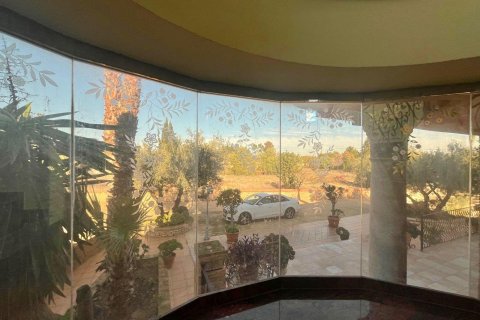 House for sale in Rojales, Alicante, Spain 4 bedrooms, 450 sq.m. No. 165461 - photo 21