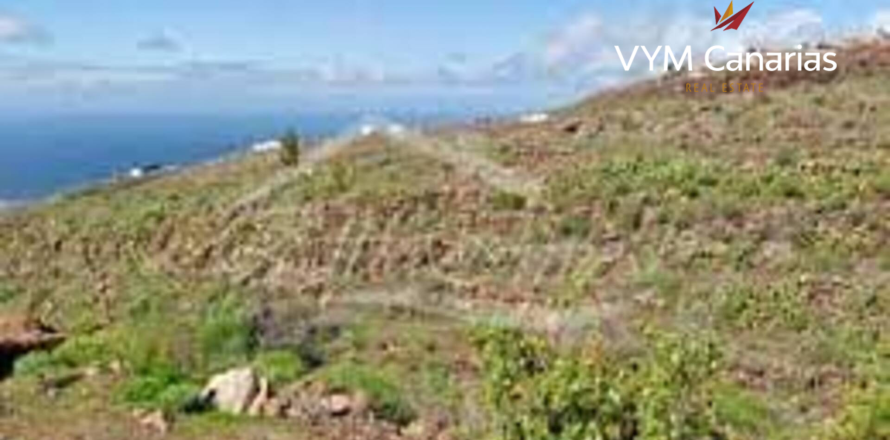 Tomt i Los Menores, Tenerife, Spanien 8386 kvm. Nr. 183673