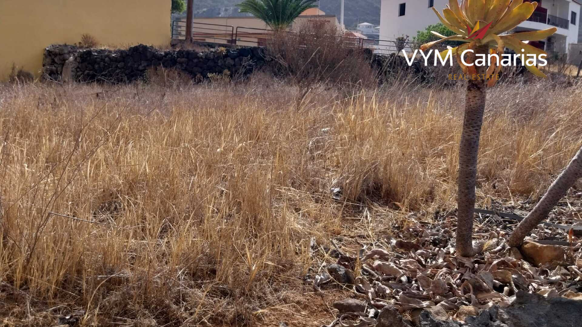 Land in Tamaimo, Tenerife, Spanien 608 m2 Nr. 183672