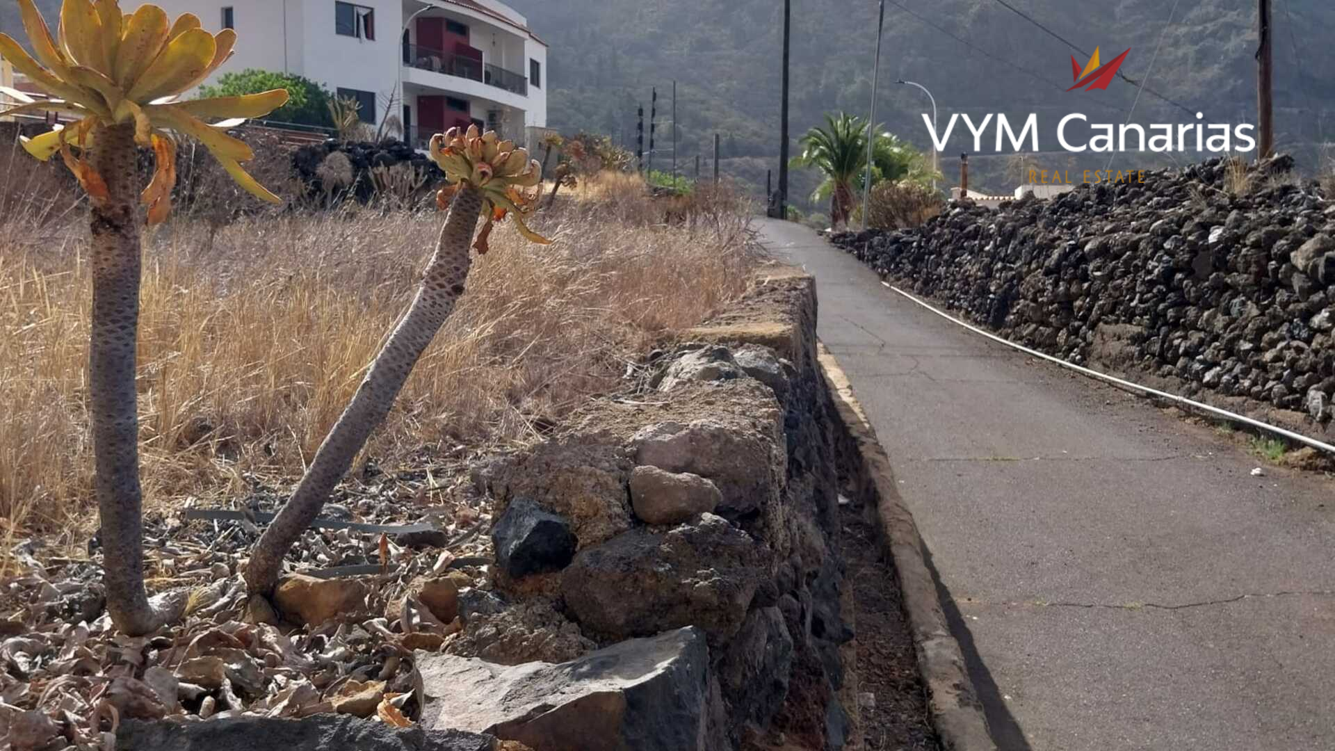 Land in Tamaimo, Tenerife, Spanien 608 m2 Nr. 183672