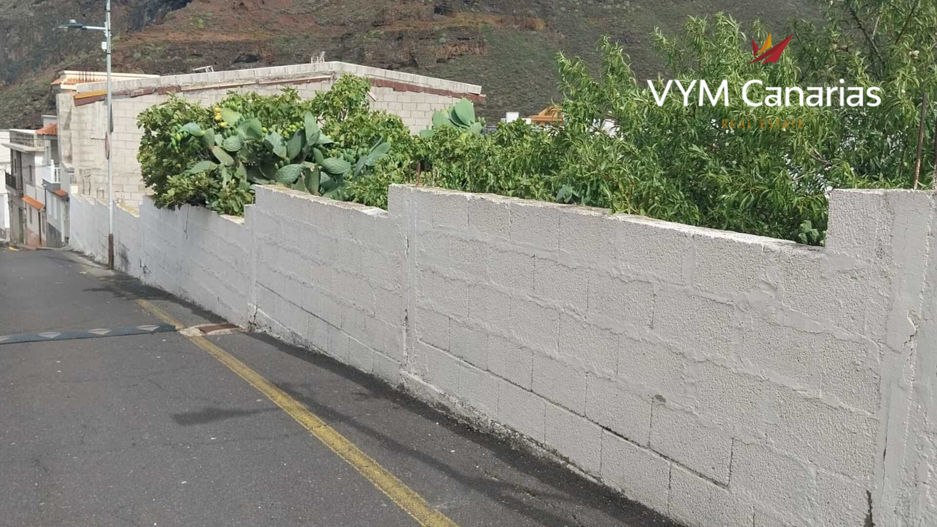 Tontti Tamaimo, Tenerife, Espanja No. 183671