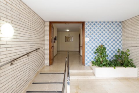 Wohnung zum Verkauf Jerez de la Frontera, Cadiz, Spanien 5 Schlafzimmer, 188 m2 Nr. 108318 - Foto 4